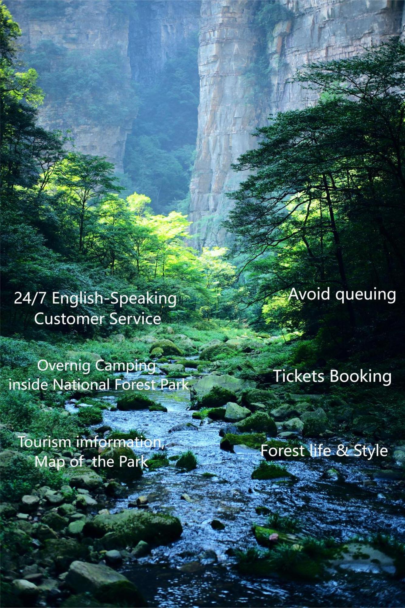 Zhangjiajie National Forest Park Camping Eksteriør bilde