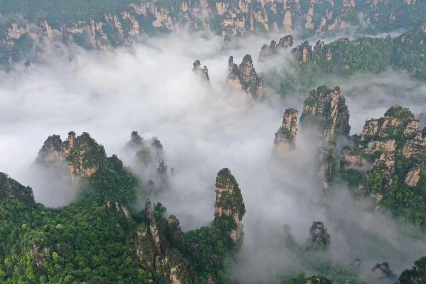 Zhangjiajie National Forest Park Camping Eksteriør bilde